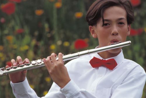 Transverse flute Lessons